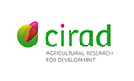 cirad